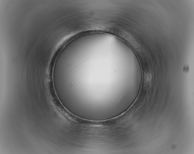 X0000097610628200803141940