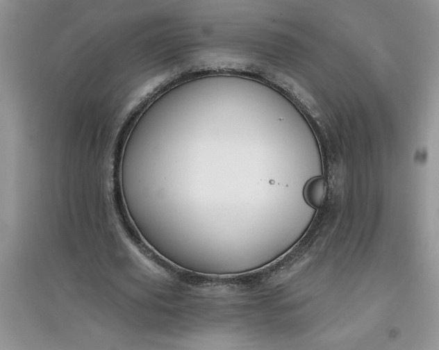 X0000097610629200803141940