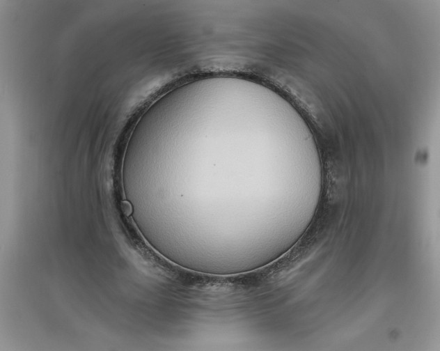 X0000097610631200803141940