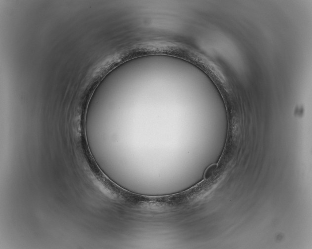 X0000097610633200803141940