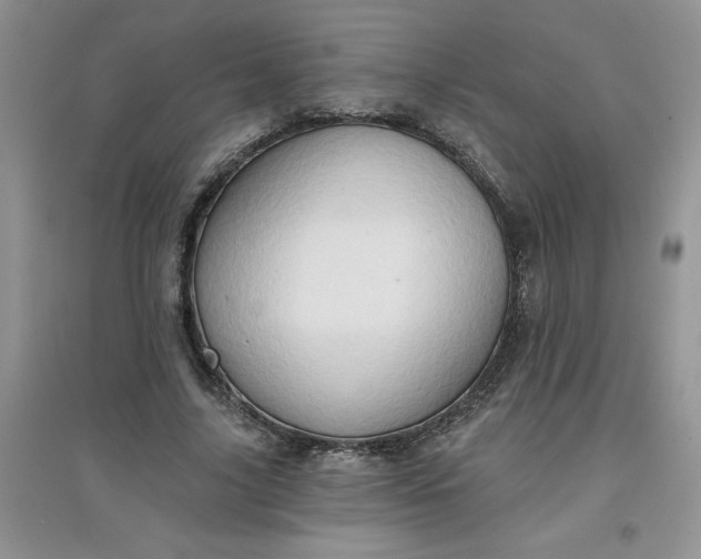 X0000097610635200803141940