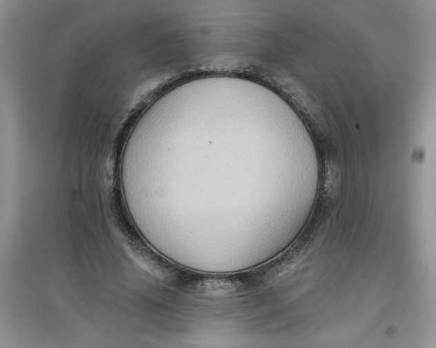 X0000097610636200803141940