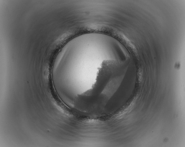 X0000097610637200803141940