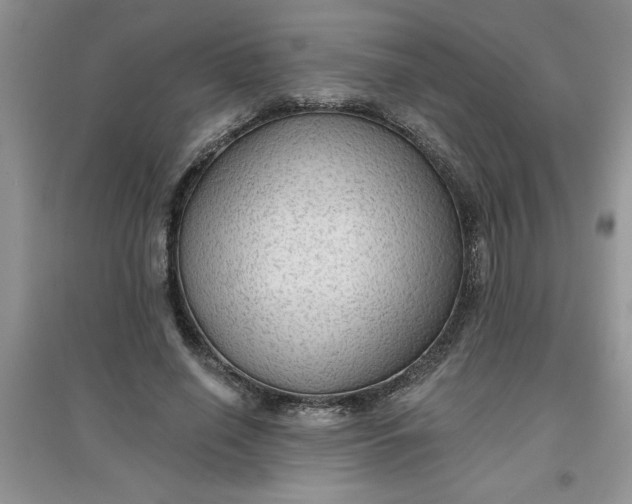 X0000097610638200803141940