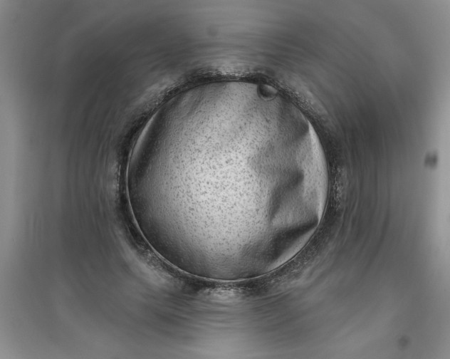 X0000097610639200803141940