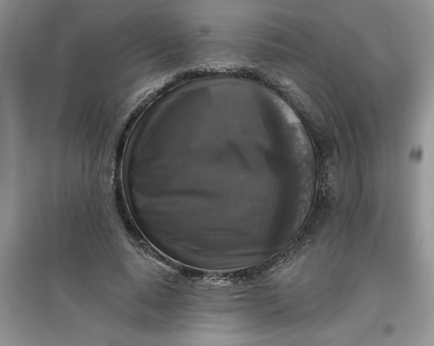 X0000097610640200803141940