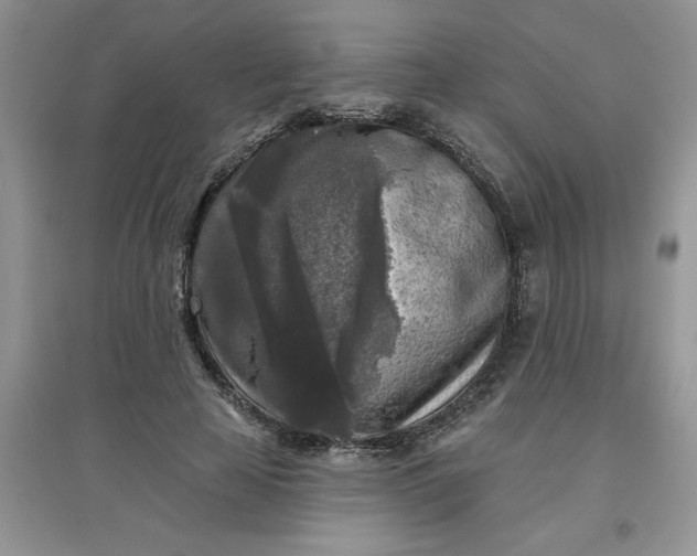 X0000097610641200803141940