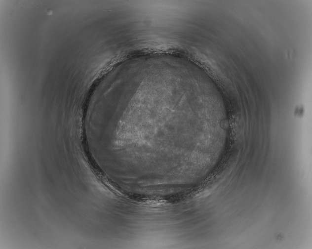 X0000097610642200803141940