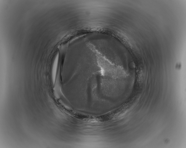 X0000097610643200803141940