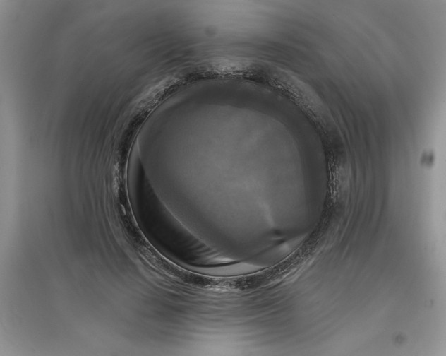 X0000097610644200803141940