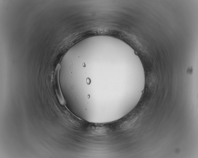 X0000097610645200803141940