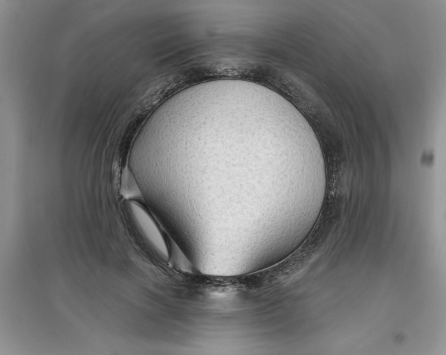 X0000097610646200803141940