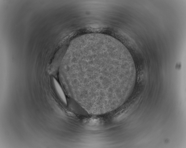 X0000097610647200803141940