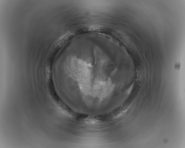 X0000097610648200803141940