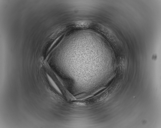 X0000097610649200803141940