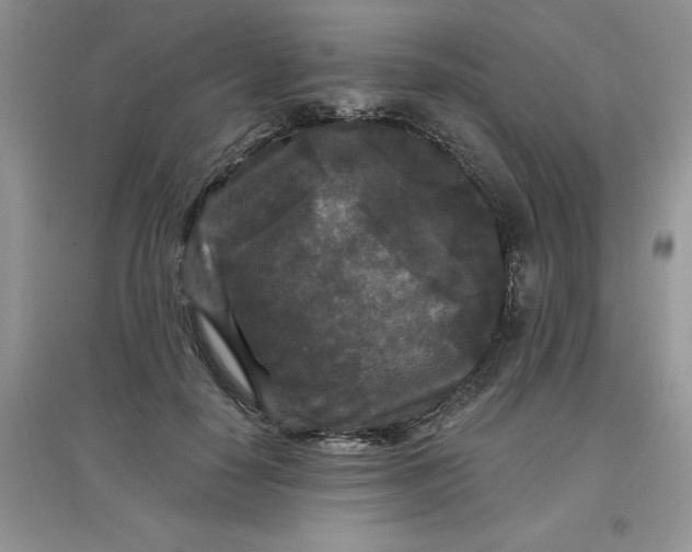 X0000097610650200803141940