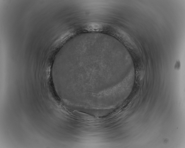 X0000097610652200803141940