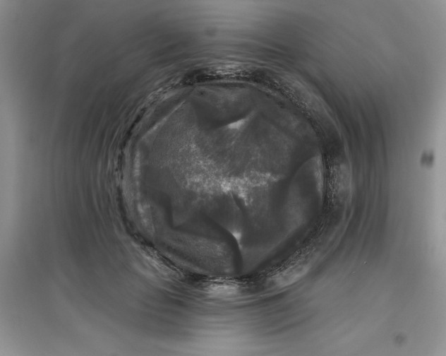 X0000097610653200803141940