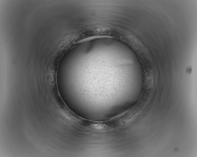 X0000097610654200803141940