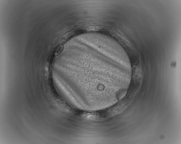 X0000097610655200803141940