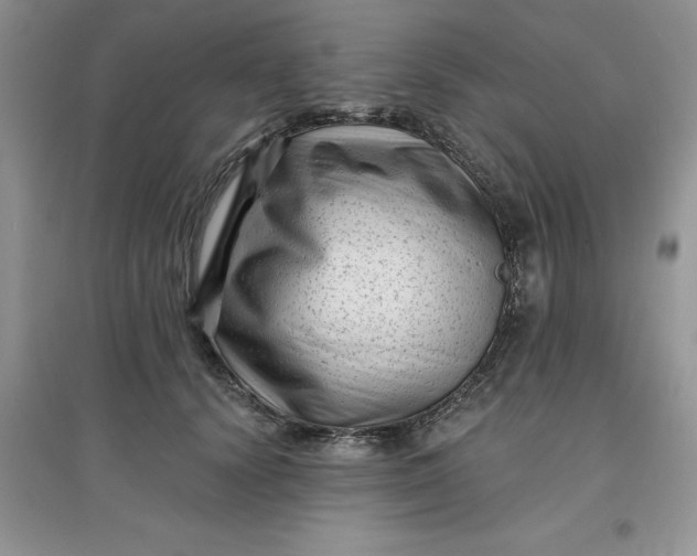 X0000097610656200803141940