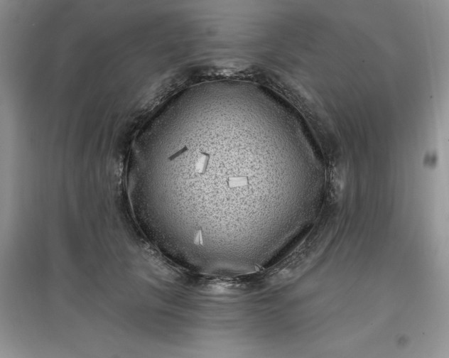 X0000097610657200803141940