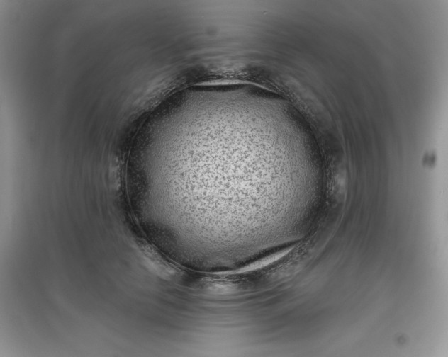 X0000097610658200803141940