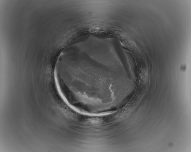 X0000097610659200803141940