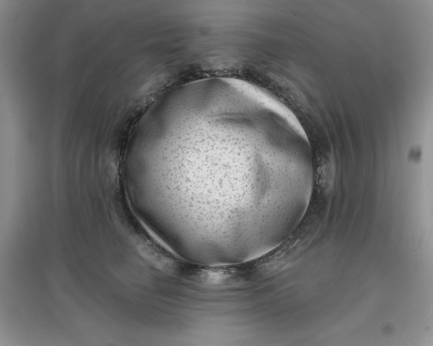 X0000097610662200803141940