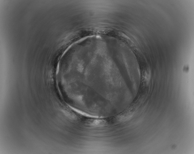 X0000097610663200803141940