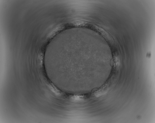 X0000097610664200803141940