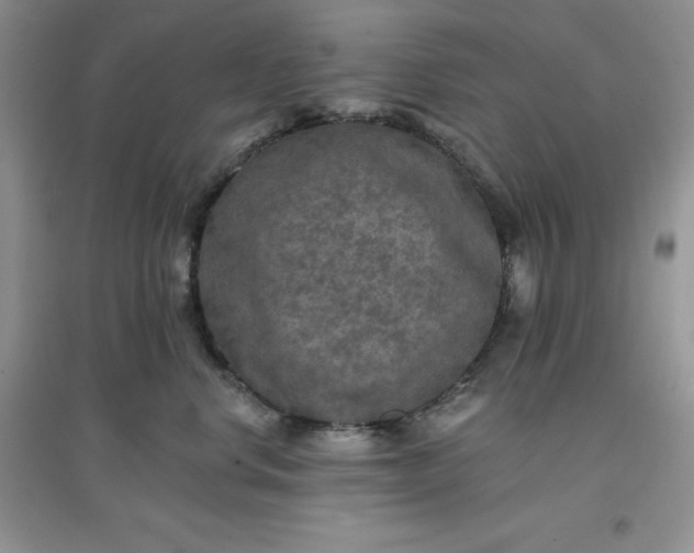 X0000097610668200803141940