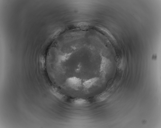 X0000097610669200803141940