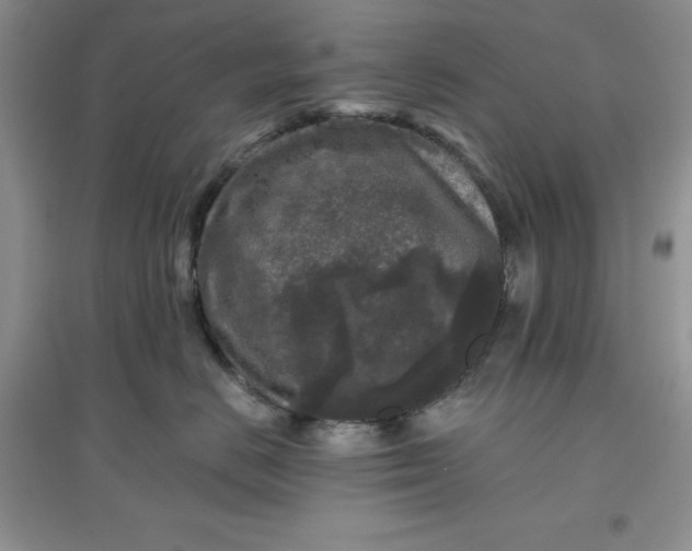 X0000097610670200803141940