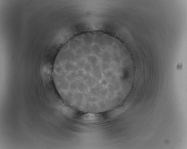 X0000097610672200803141940