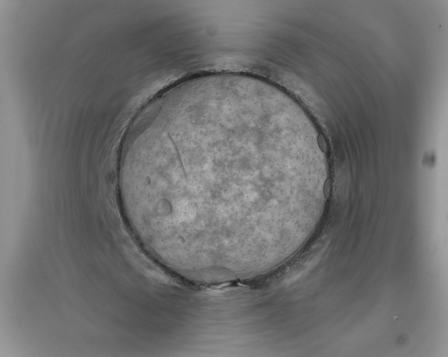 X0000097610673200803141940