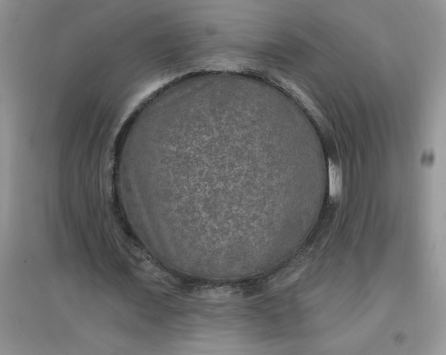 X0000097610675200803141940