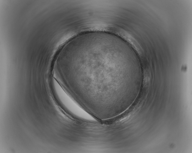 X0000097610677200803141940