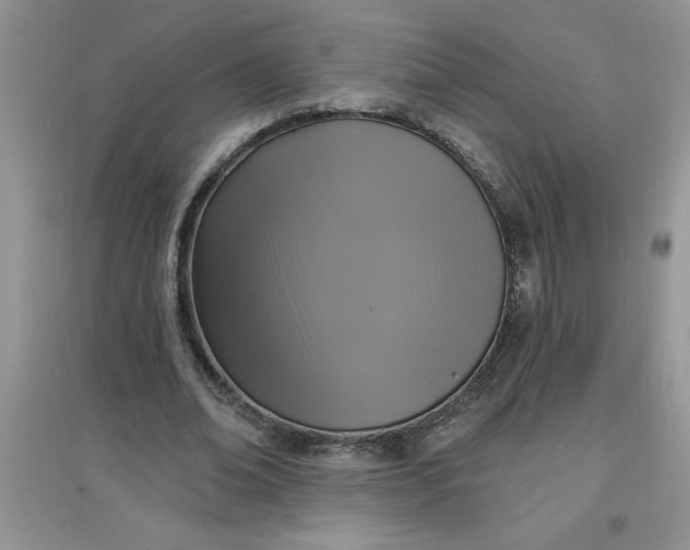 X0000097610678200803141940