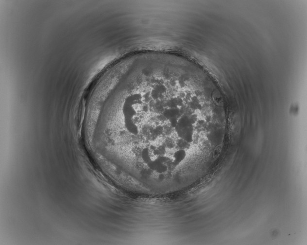 X0000097610679200803141940