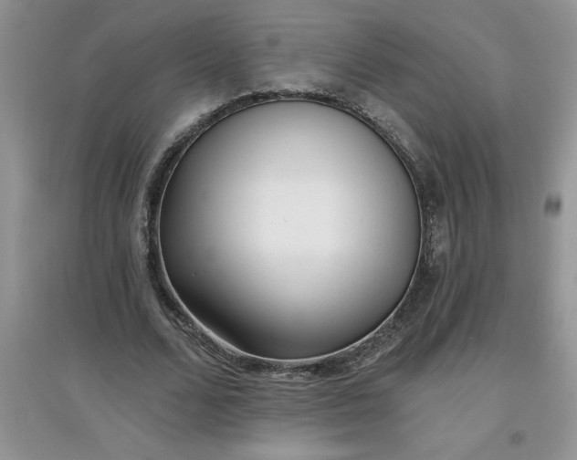 X0000097610680200803141940