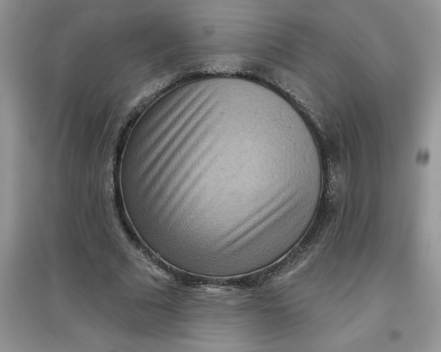 X0000097610681200803141940