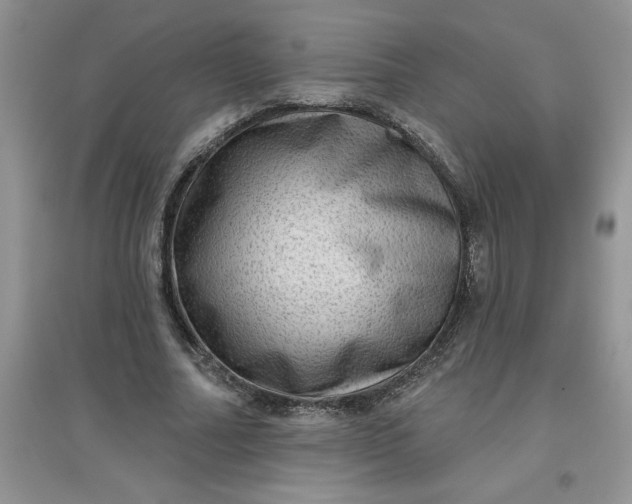 X0000097610682200803141940