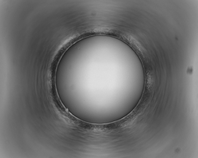 X0000097610684200803141939