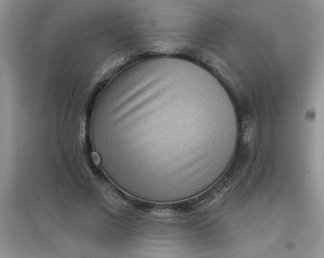 X0000097610685200803141939