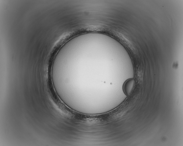 X0000097610686200803141939