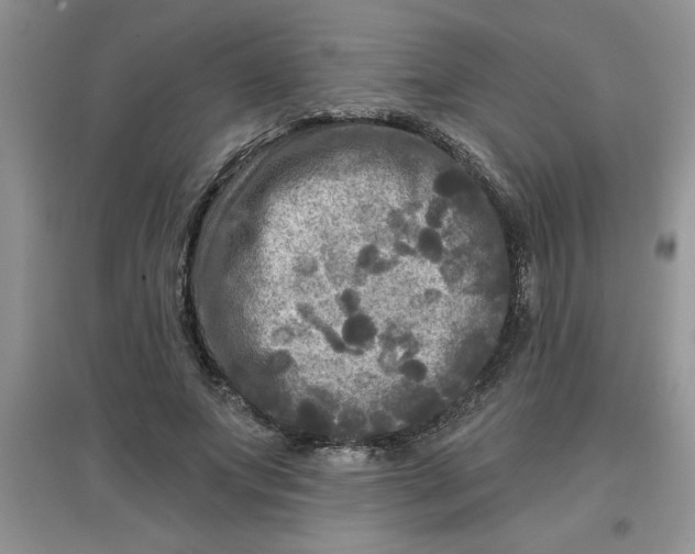 X0000097610687200803141939