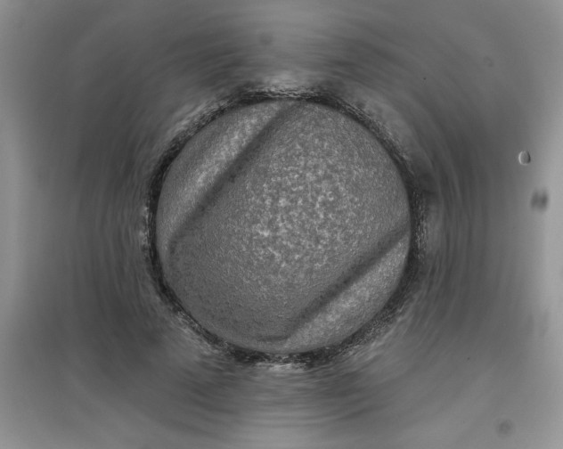 X0000097610689200803141939