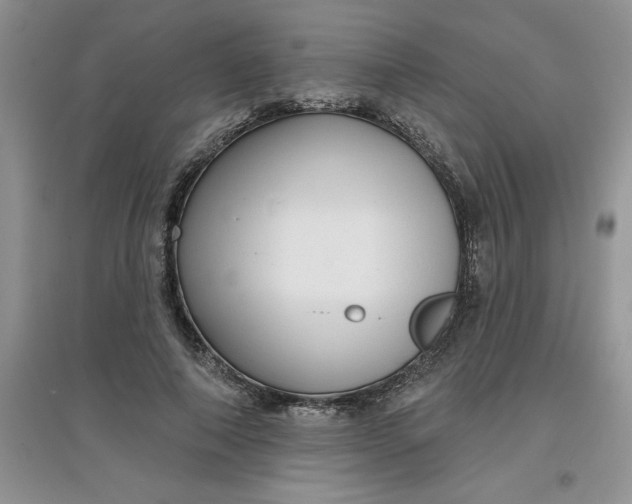 X0000097610690200803141939