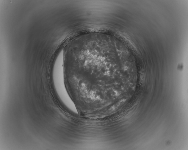 X0000097610691200803141939